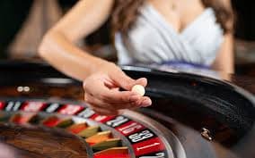 Roulette live joni toto dengan statistik putaran real-time